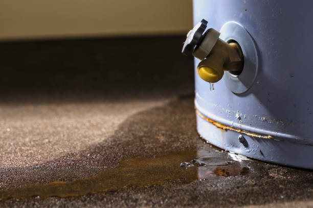 Best Local water damage restoration  in Riverside, OH