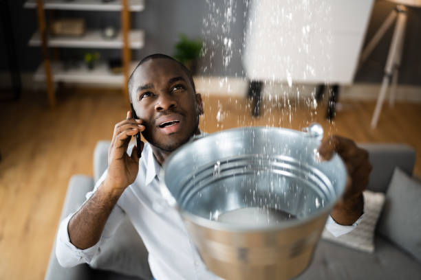 Best Ceiling water damage repair  in Riverside, OH