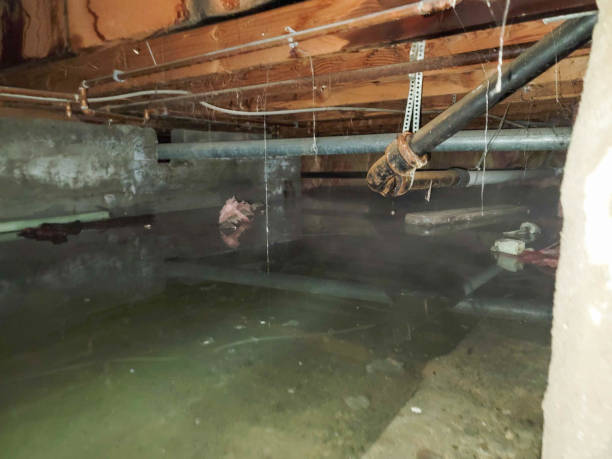 Best Ceiling water damage repair  in Riverside, OH