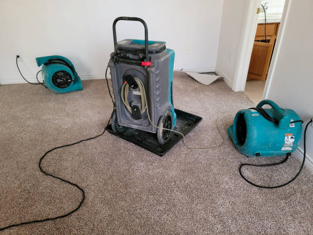 Best Flood restoration services  in Riverside, OH
