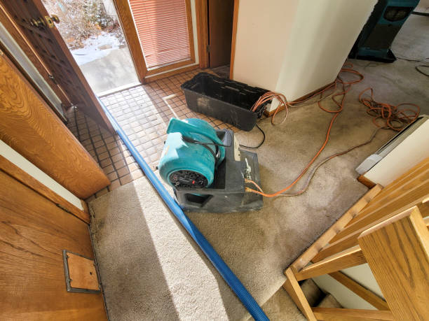 Best Fire Damage Restoration  in Riverside, OH