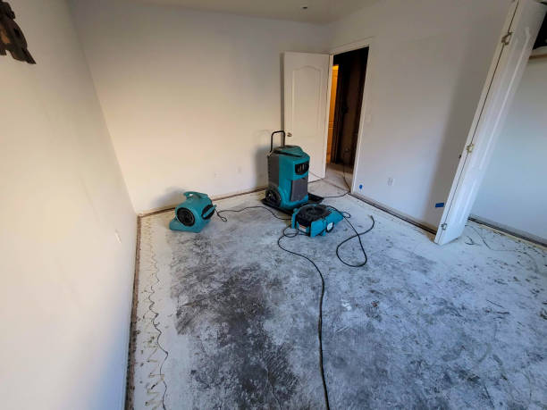 Best Professional water damage repair  in Riverside, OH