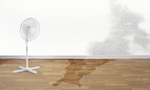 Best Carpet water damage restoration  in Riverside, OH
