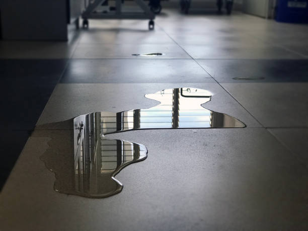 Best Commercial water damage restoration  in Riverside, OH
