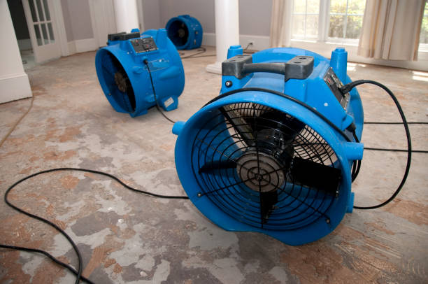 Best Water damage restoration near me  in Riverside, OH
