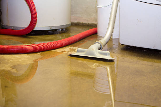 Best Professional water damage repair  in Riverside, OH