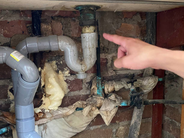 Best Water damage repair service  in Riverside, OH