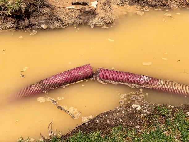 Best Water damage restoration near me  in Riverside, OH
