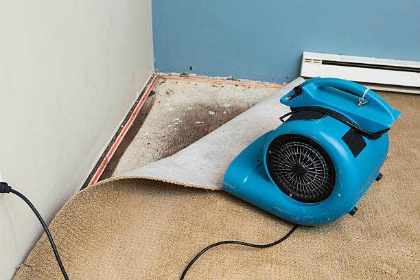 Water damage restoration mold remediation in Riverside, OH